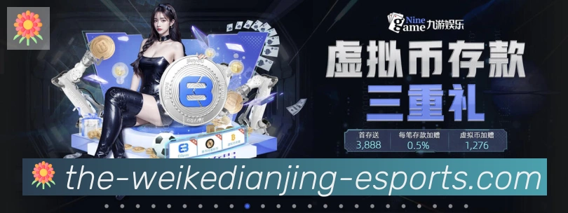 互动解说服务